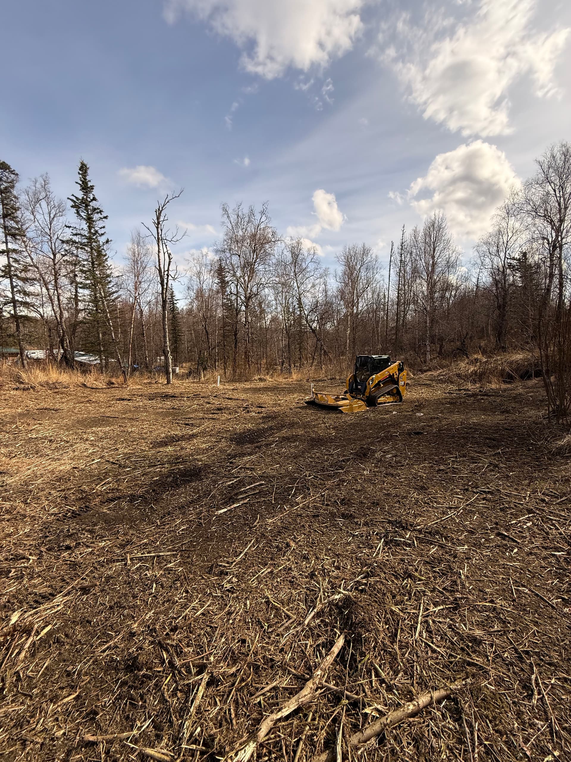 Gallery photos for Brush Hog Land Clearing Cleans Up Overgrown Property in Palmer: Image #1