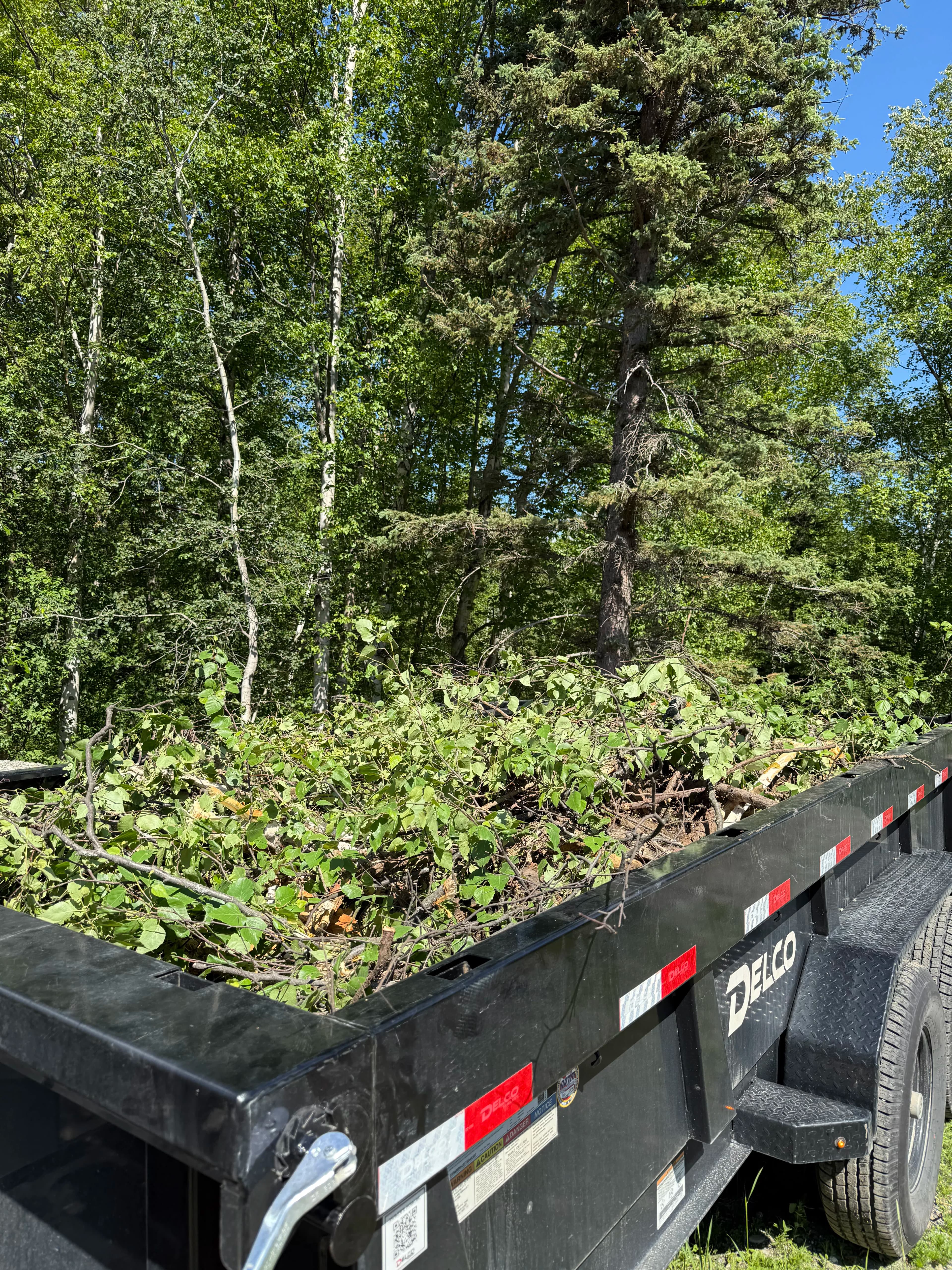 Project Yard Debris Piling Up? We Haul It All Away image