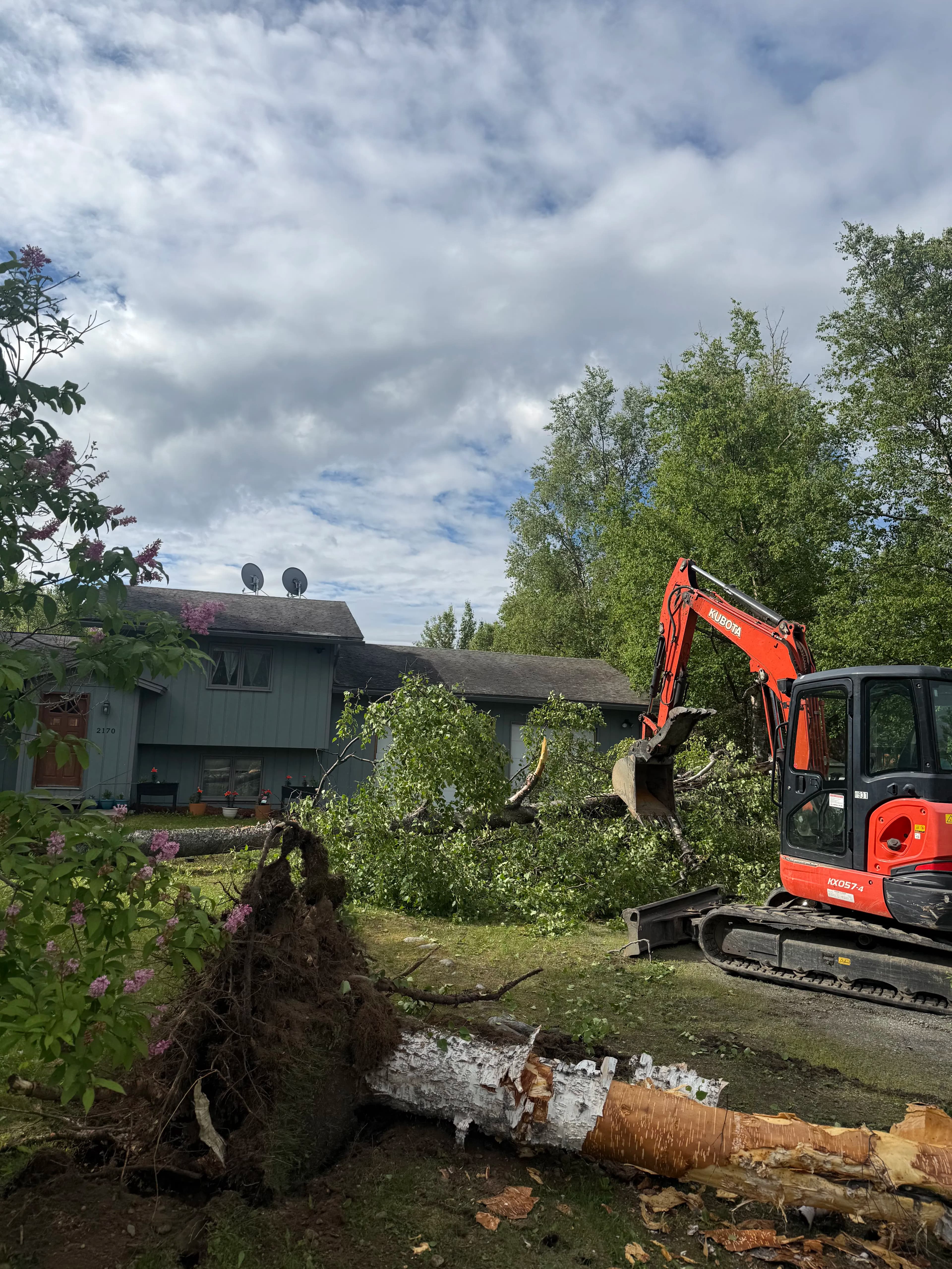 Project Hazard Tree Removed Before It Could Take Out This Home image