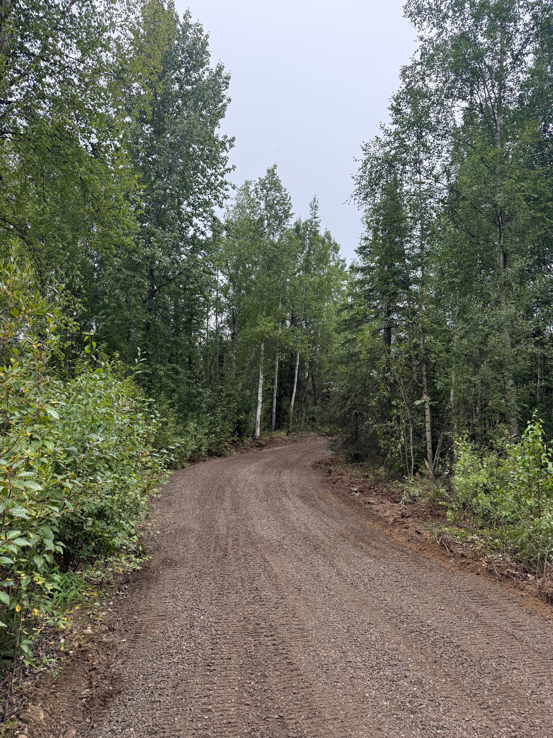 Turning Raw Woodland Into a Solid Gravel Driveway