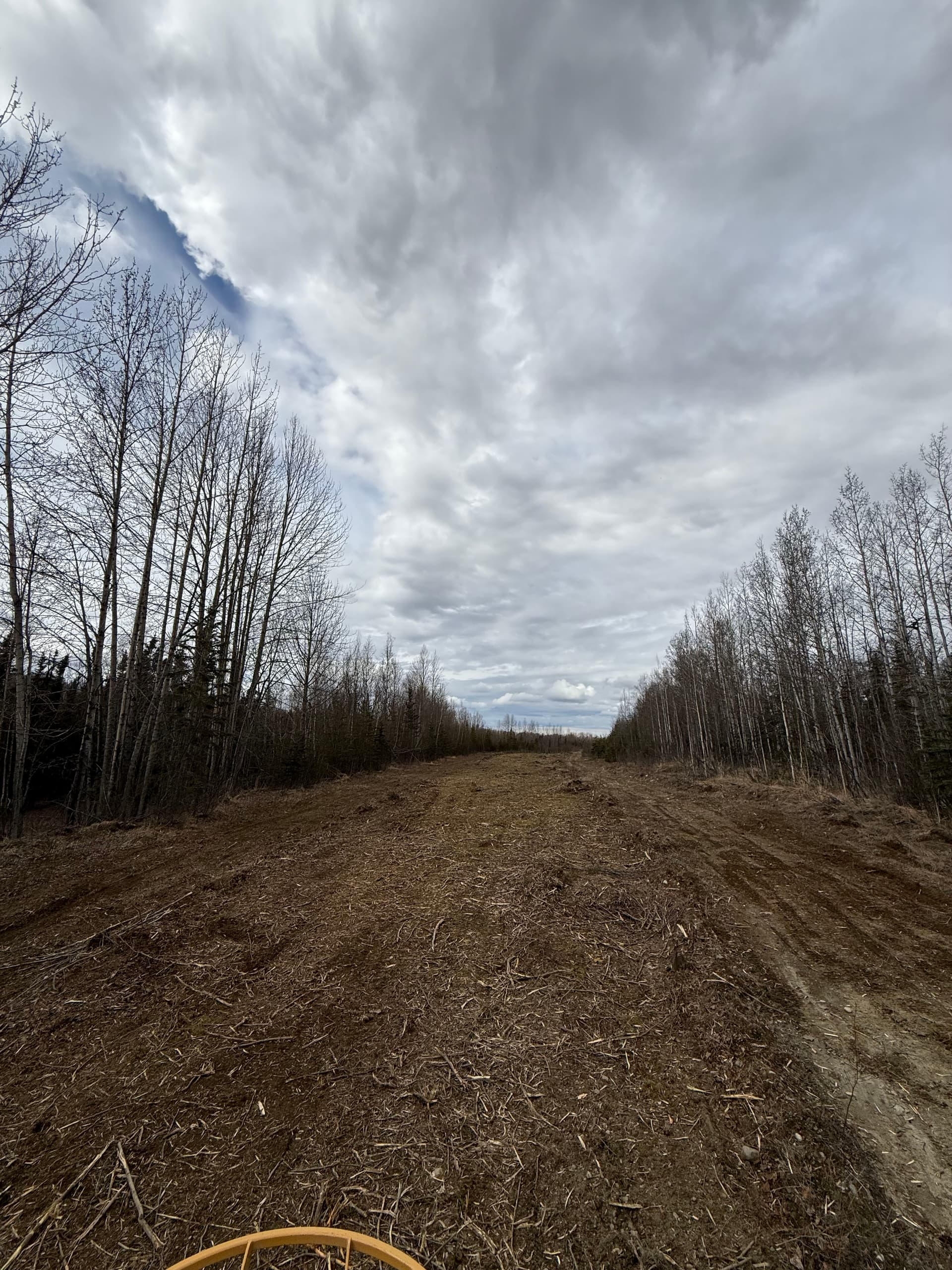 Land Clearing That Opens Up What Your Property Can Become image
