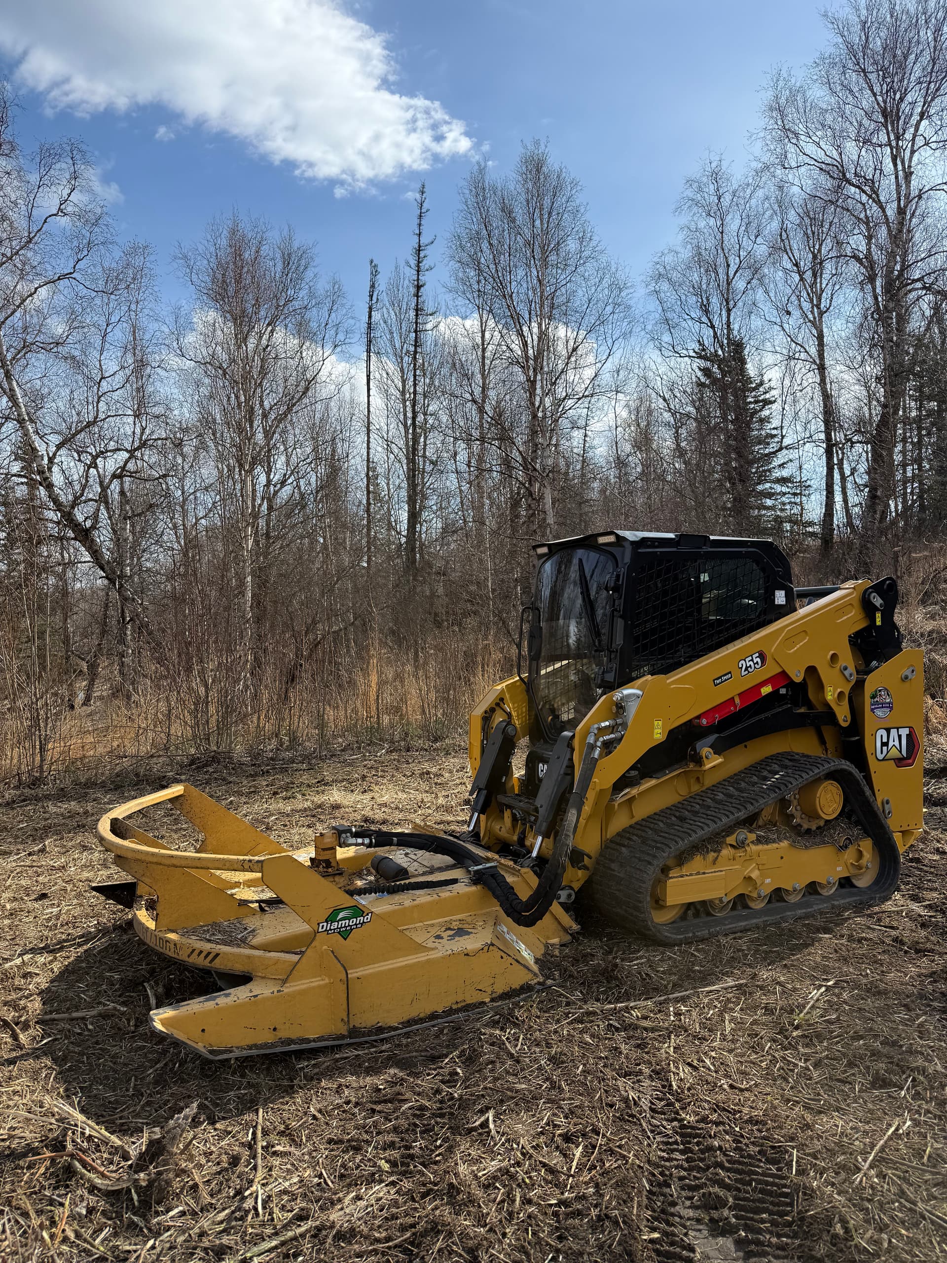 Gallery photos for Brush Hog Land Clearing Cleans Up Overgrown Property in Palmer: Image #2