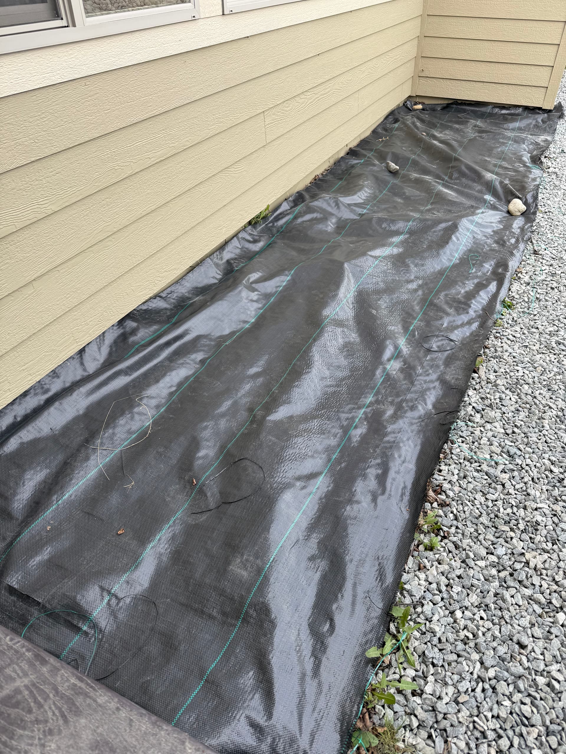 Fresh Mulch and Weed Barrier for a Low-Maintenance Flower Bed