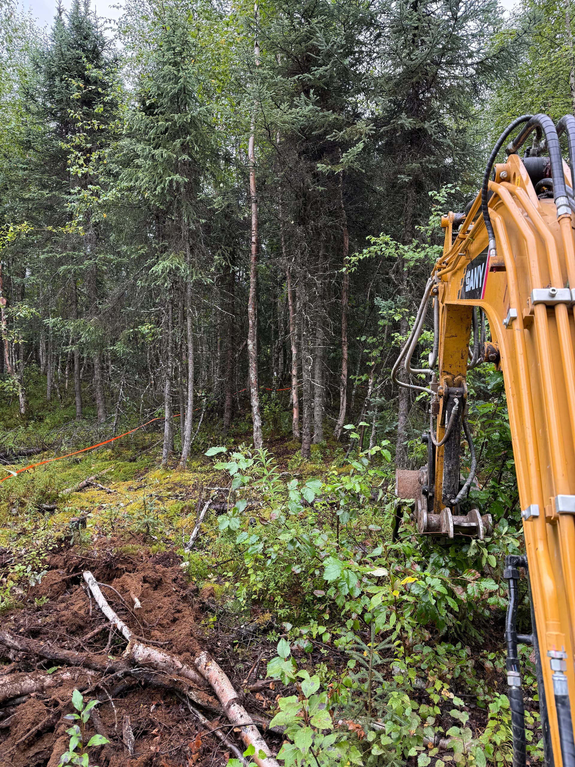 Gallery photos for Turning Raw Woodland Into a Solid Gravel Driveway: Image #1