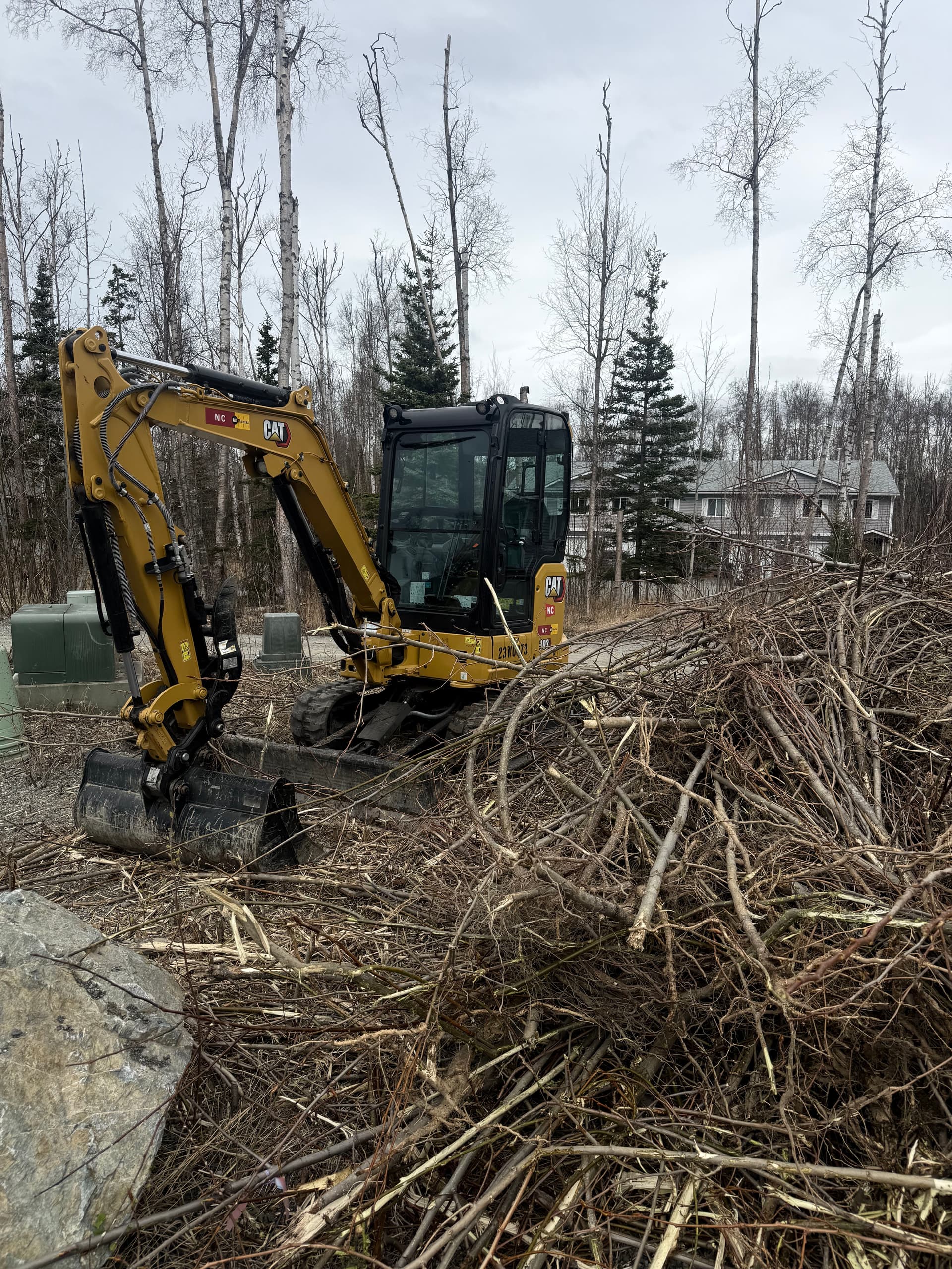 Gallery photos for When Trees and Brush Take Over Your Property: Image #1