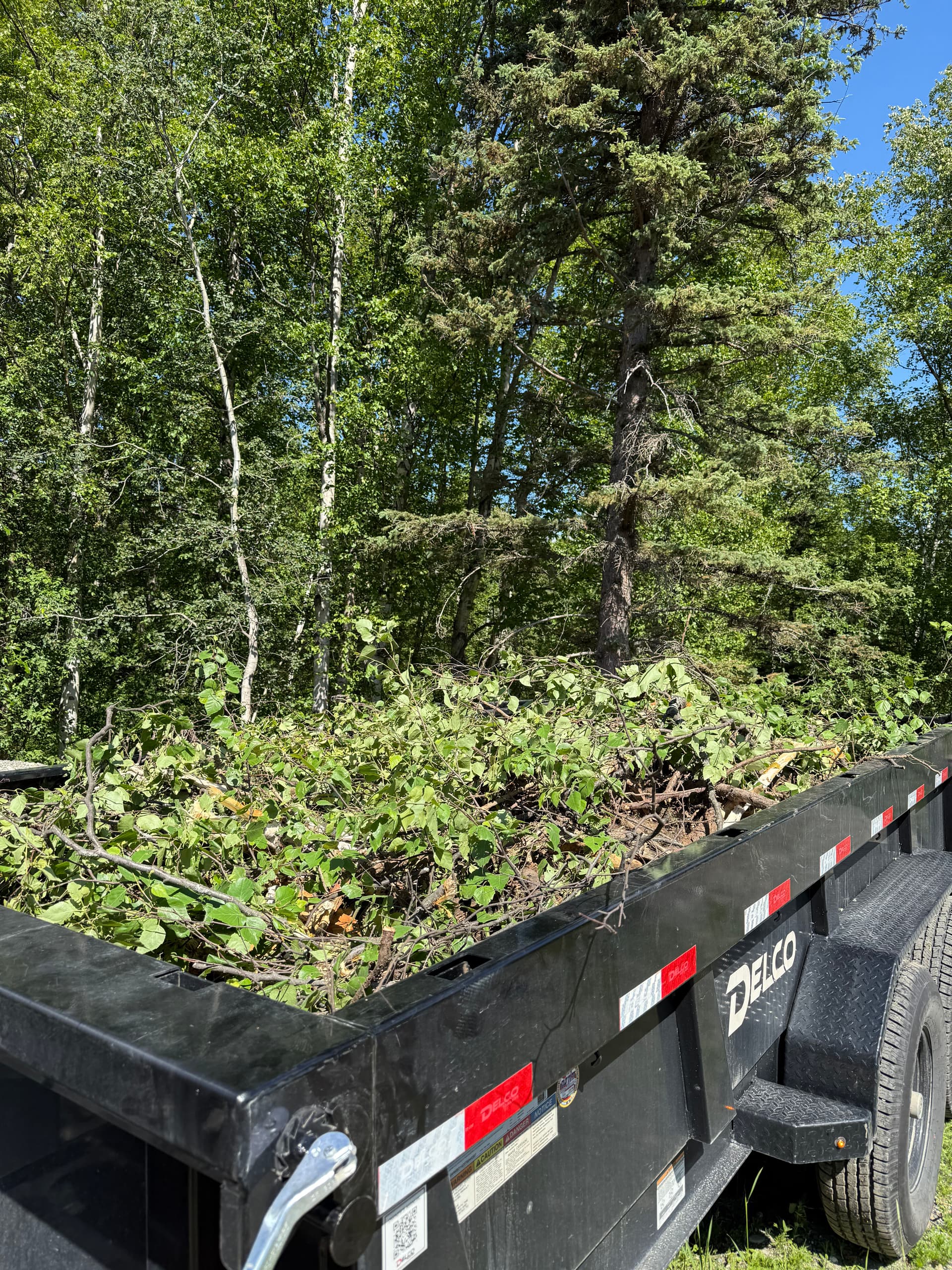 Yard Debris Piling Up? We Haul It All Away image