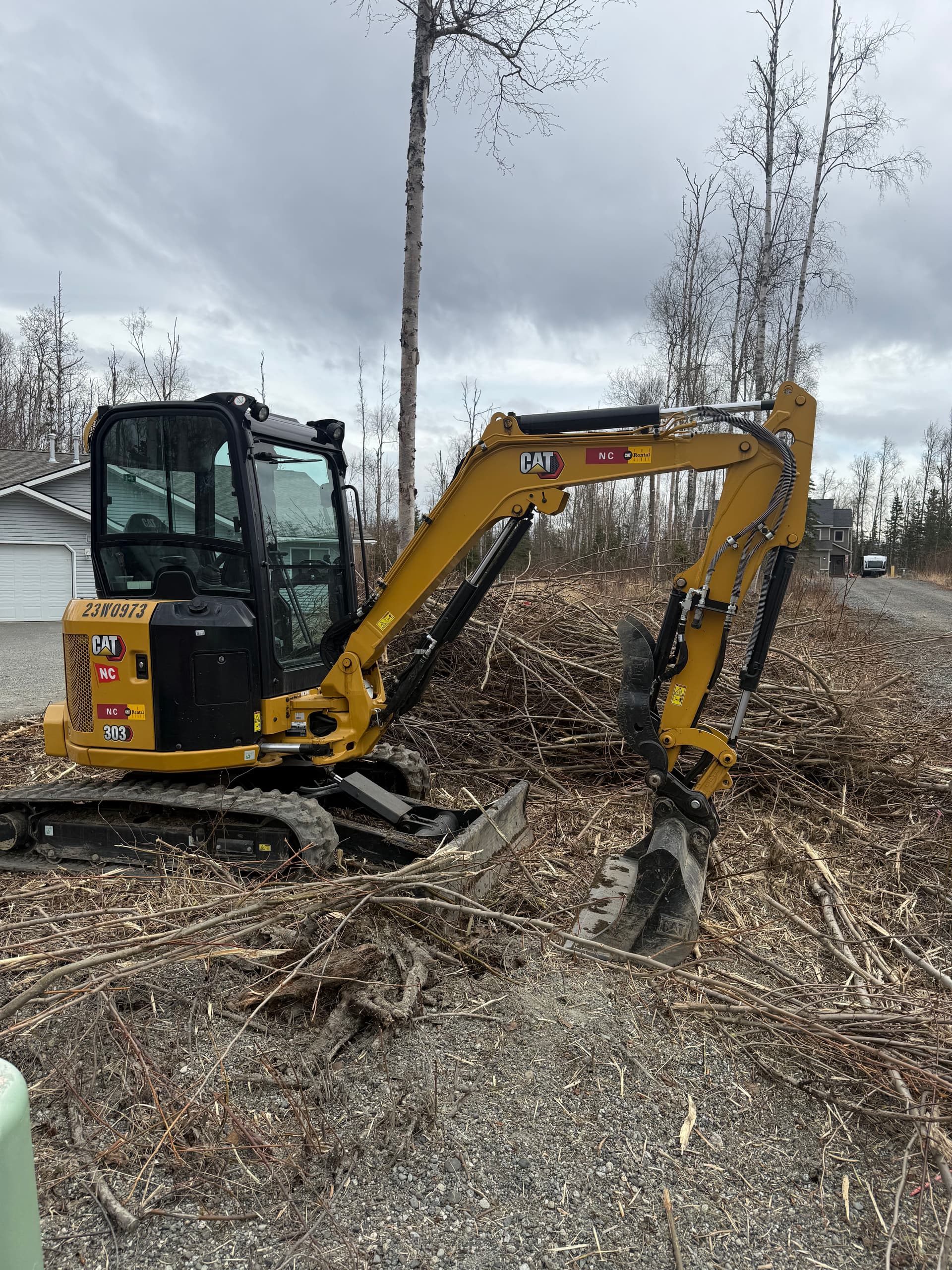 Willow Thicket Land Clearing That Opens Your Property Back Up image